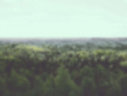 Parallax Sections